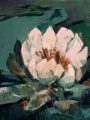 single waterlelie 20x20