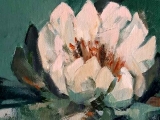 single waterlelie 20x20