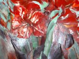 Amaryllis