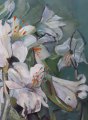 Witte-lelies-