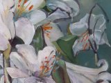 Witte-lelies-