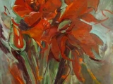 amaryllis