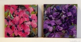 clematis 2x