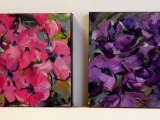 clematis 2x