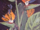 heliconia