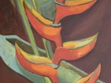 paradijsvogelbloem