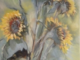 zonnebloem