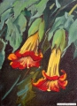 trompetbloesem