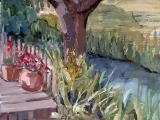 uitzicht Ilperveld