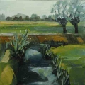 Landschap Kamerik