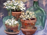 glasheldere witte