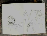 DSCN2879