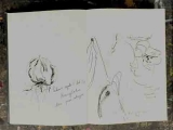 DSCN2879